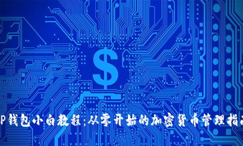 TP钱包小白教程：从零开始的加密货币管理指南