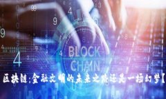 区块链：金融文明的未来之路还是一场幻梦？