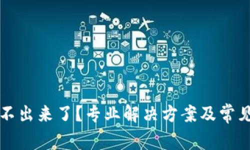 TP钱包提不出来了？专业解决方案及常见问题解析