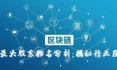 区块链金融最大股东排名分析：揭秘行业巨头与